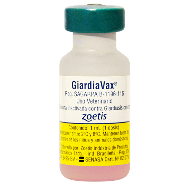giardia vax preco